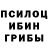 Псилоцибиновые грибы MAGIC MUSHROOMS Yadhira Marchena