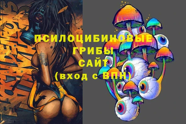 прущий лед Горно-Алтайск