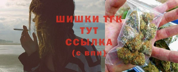 прущий лед Горно-Алтайск
