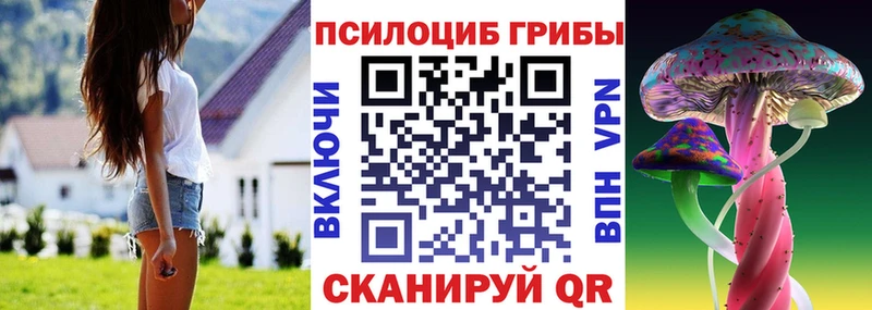 Псилоцибиновые грибы Psilocybe  купить закладку  Москва 